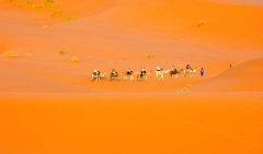 desert-trek
