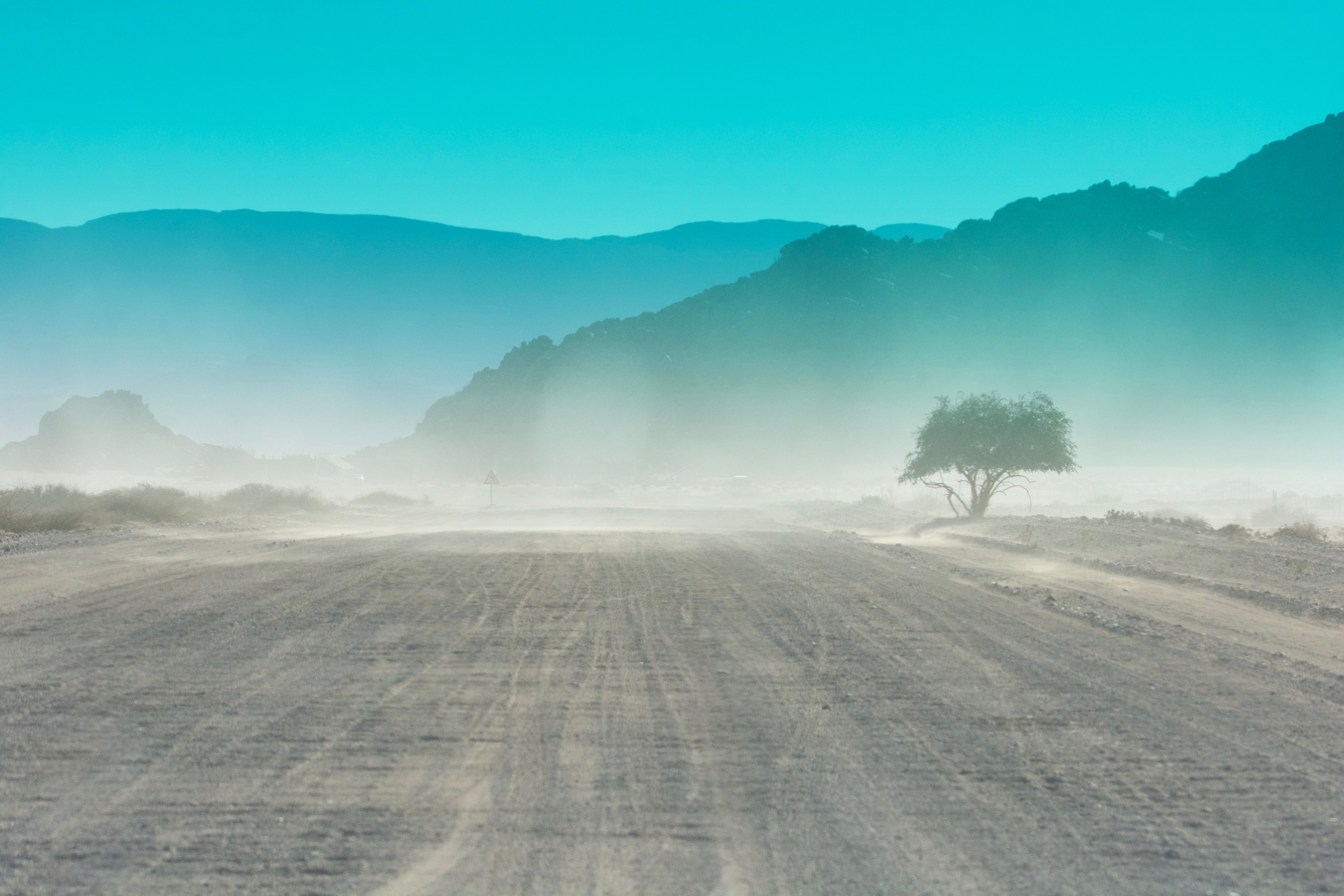 ROAD TRIP