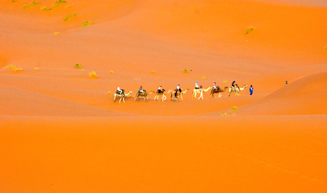 desert trek play online