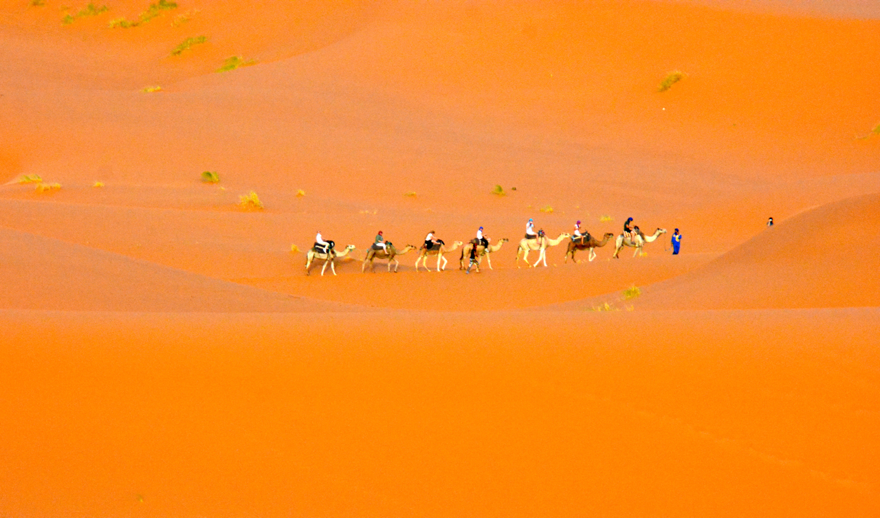 desert-trek