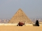 cairo-camel_1