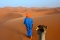 camel-on-a-rope, Morocco