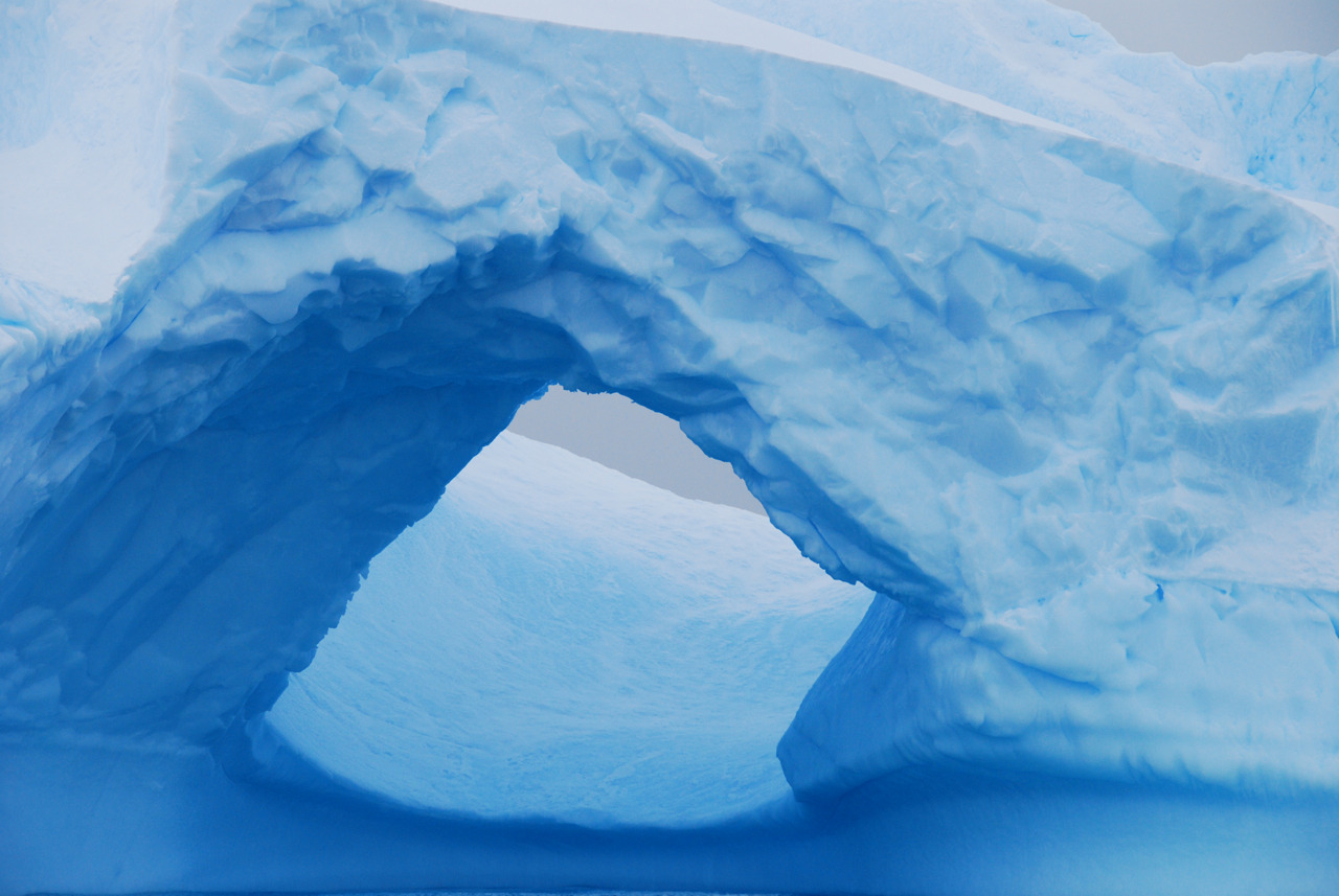 got Ice?