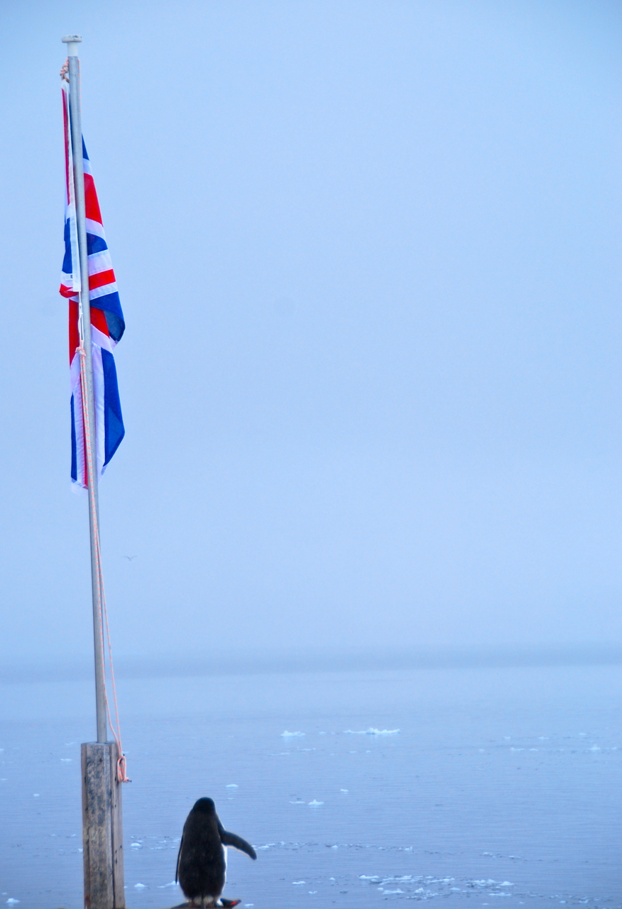 salute-antarctic-research-station