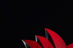 SYDNEY OPERA HOUSE AT NIGHT