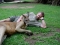 Me and Roo