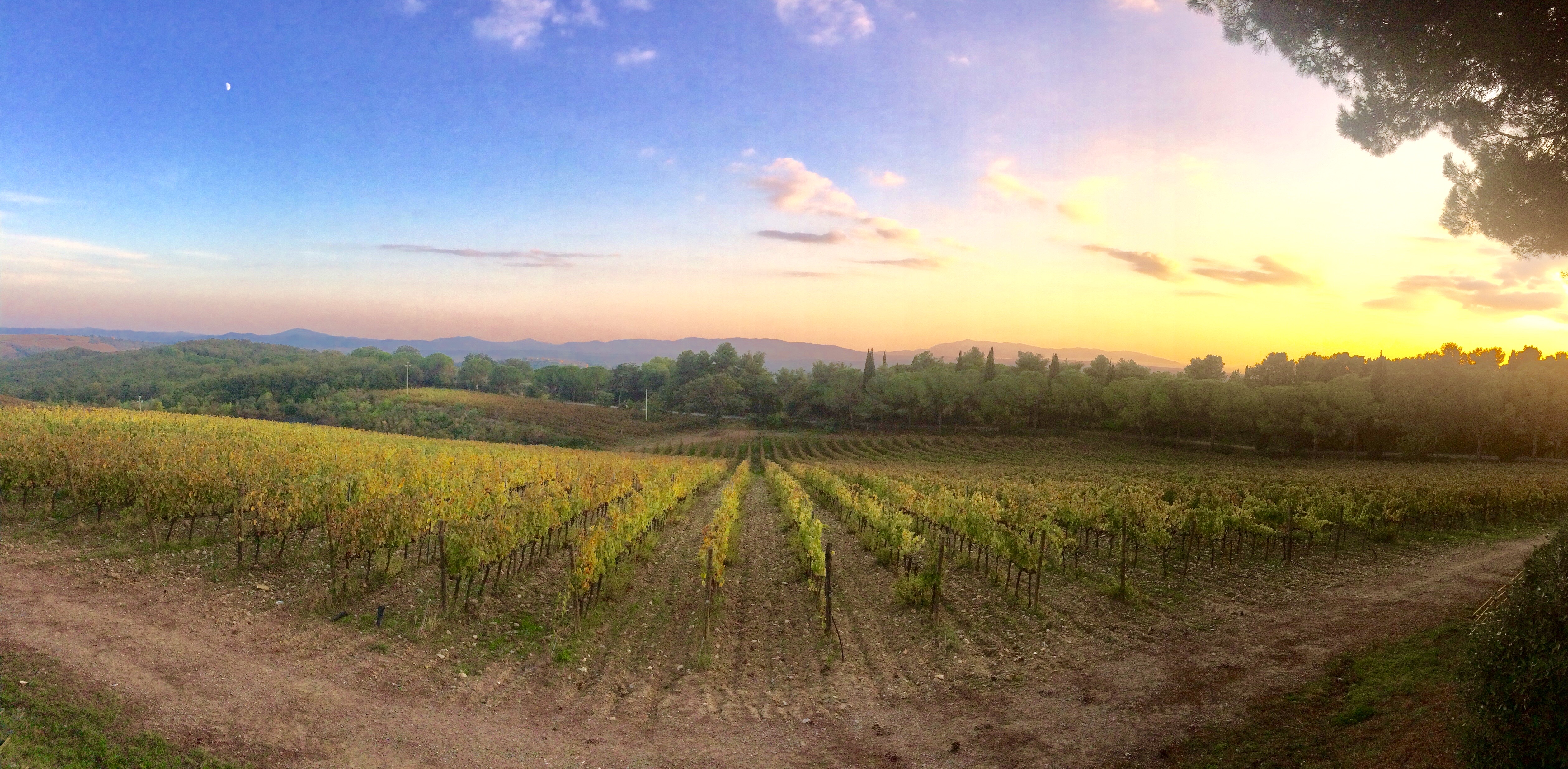ROOM WITH A VIEW