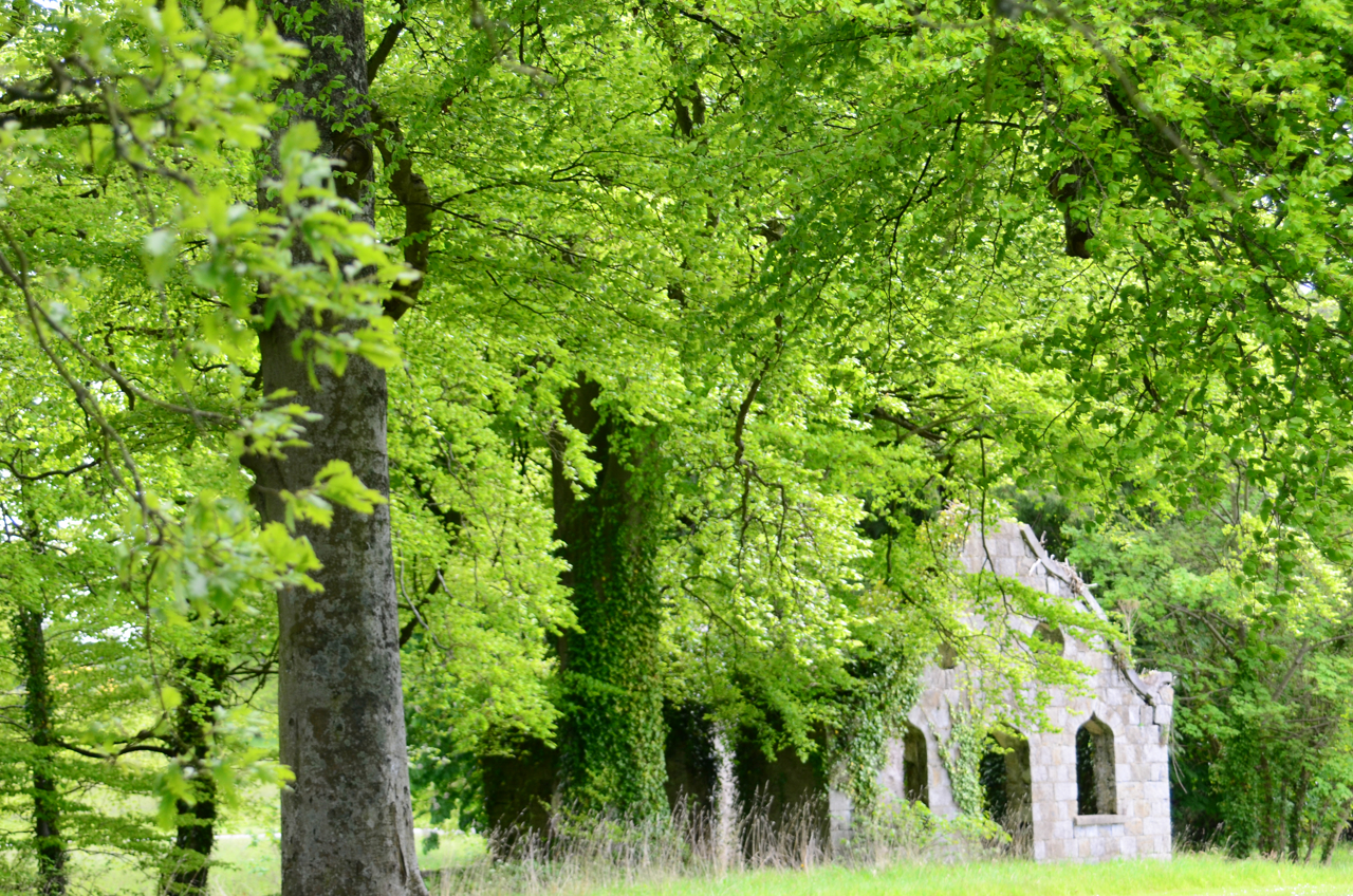 Irish Spring