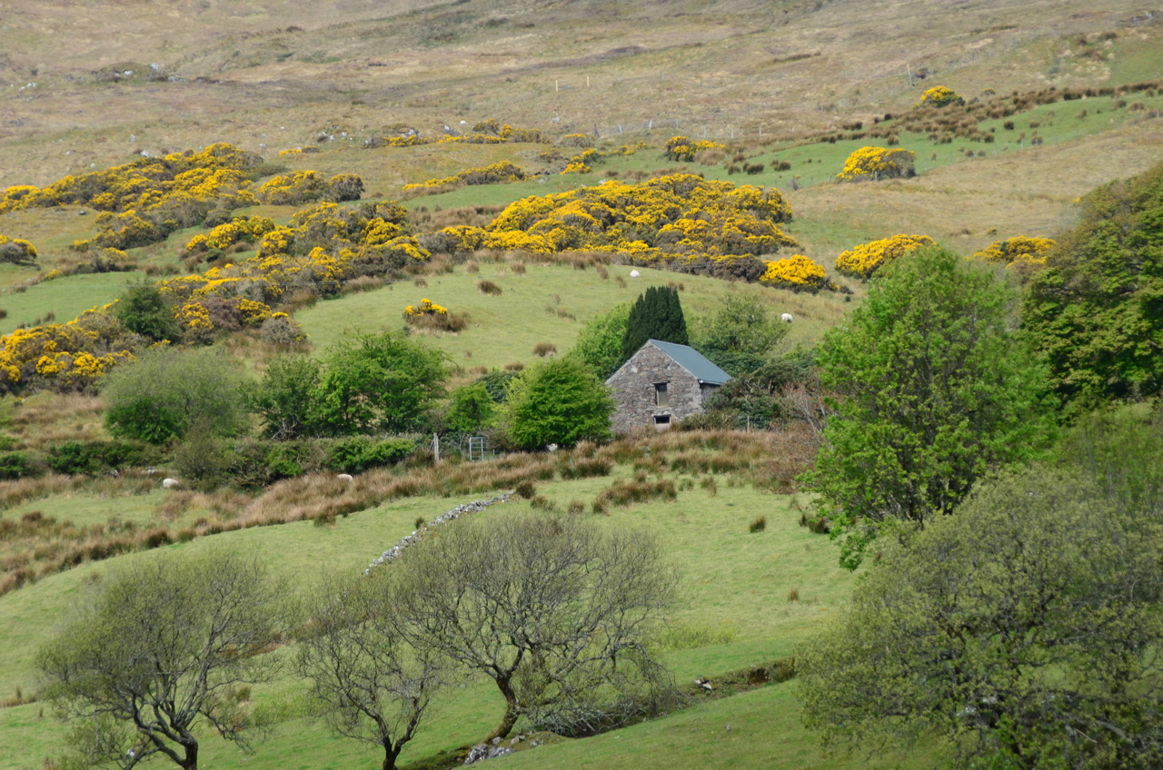 Cottage in the Glenn, Ireland