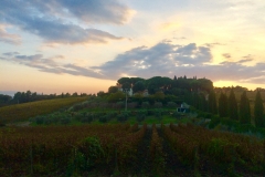 WINERY SUNSET