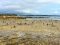 clam-diggers-spain