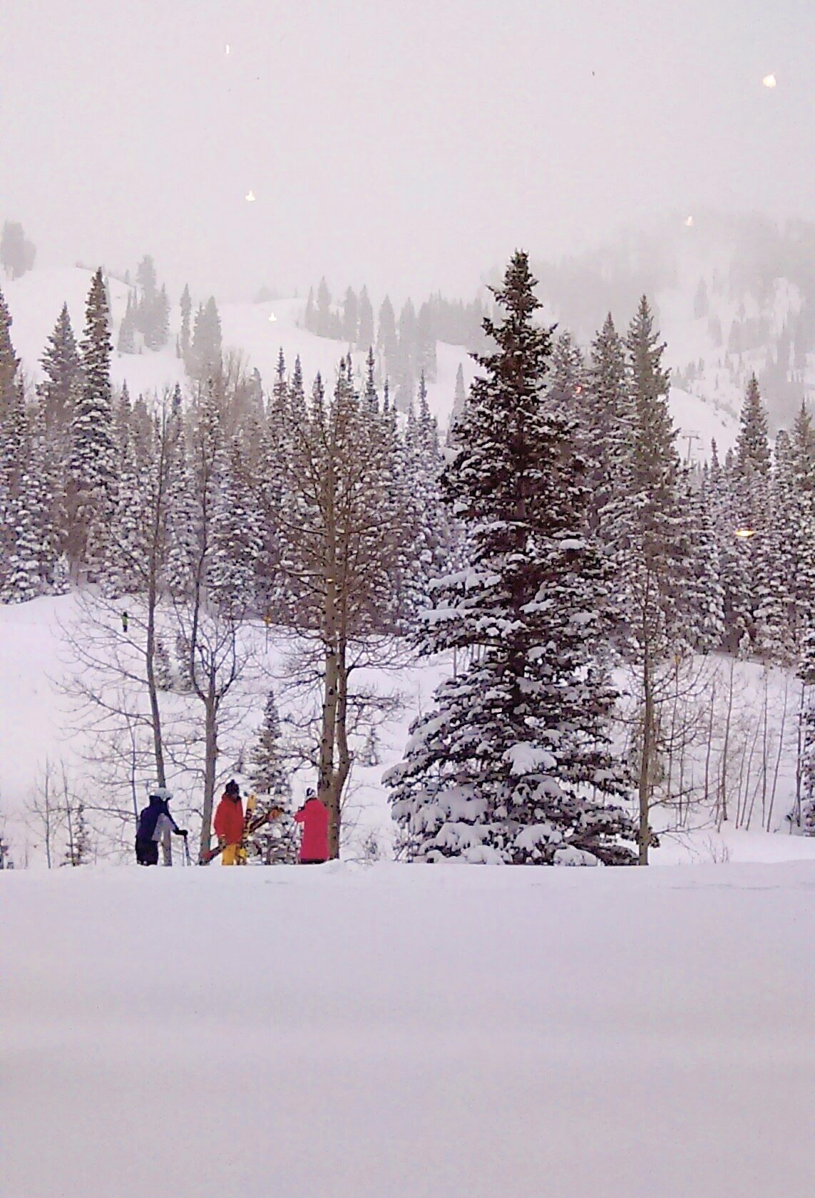 FIRST RUN