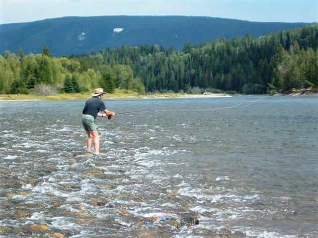 Tight Lines,snake-river-wyoming