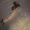 deep powder