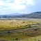 where-the-bison-roam