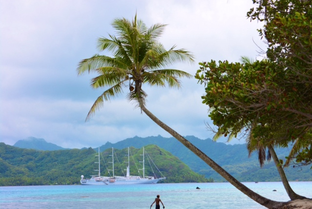 TROPICAL CRUISE