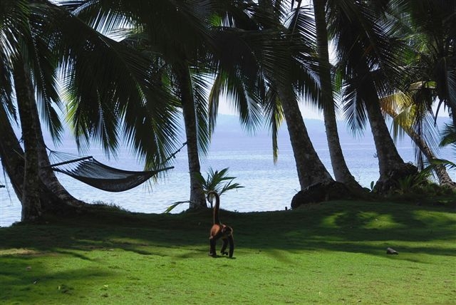 Paradise, Costa Rica