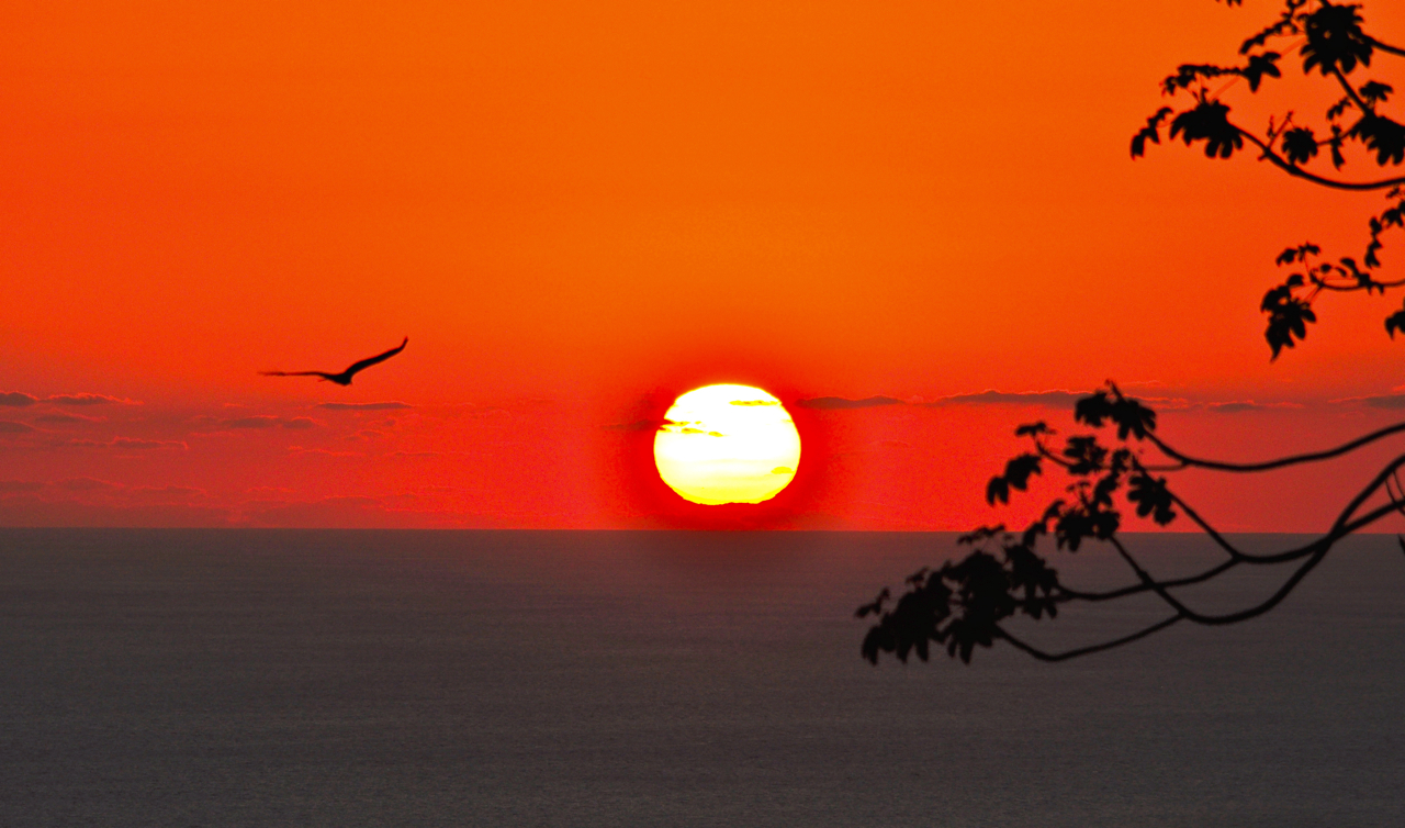last-wings, Bosque Del Cabo, Costa Rica