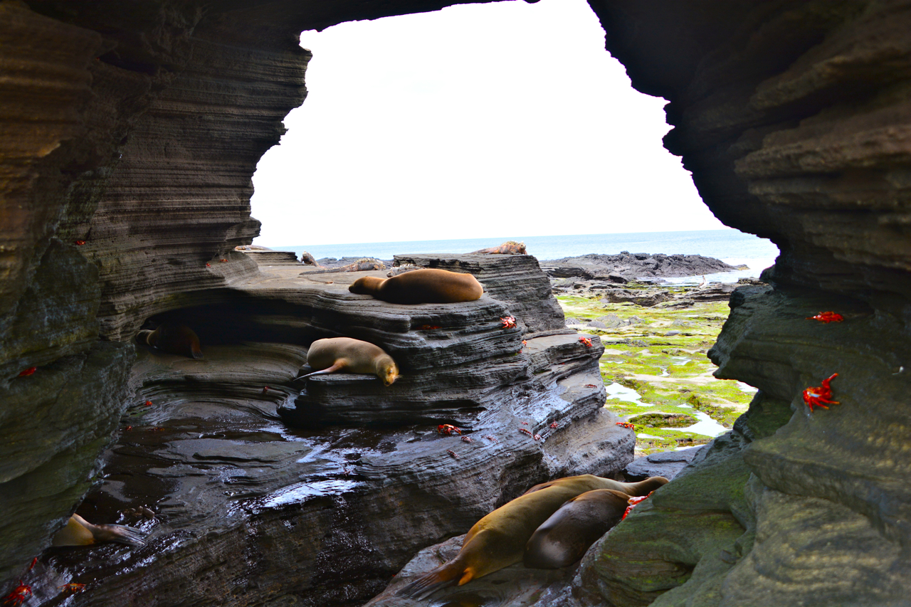 magic cave