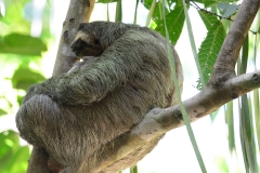 TAKING IT EASY