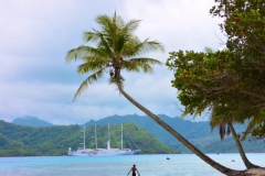 TROPICAL CRUISE