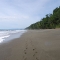 footsteps, Bosque Del Cabo, Costa Rica