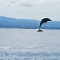 showing-off-costa-rica