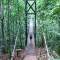 rain forest bridge, Bosque Del Cabo, Costa Rica