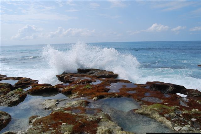 tidal-pools, Bosque Del Cabo, Costa Rica